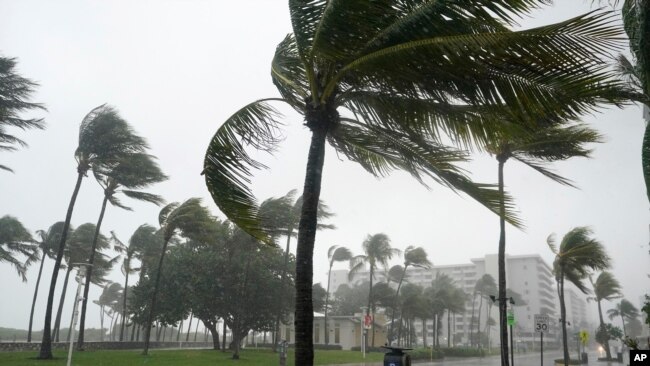 热带风暴“埃塔”造成的暴雨袭击佛罗里达州的迈阿密海滩市（2020年11月8号）。