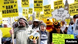 Designer Vivienne Westwood (C), and a person in a Winnie The Pooh costume join campaigners protesting in Parliament Square to urge Britain's government to ban the use of pesticides containing neonicotinoids, in central London, April 26, 2013.