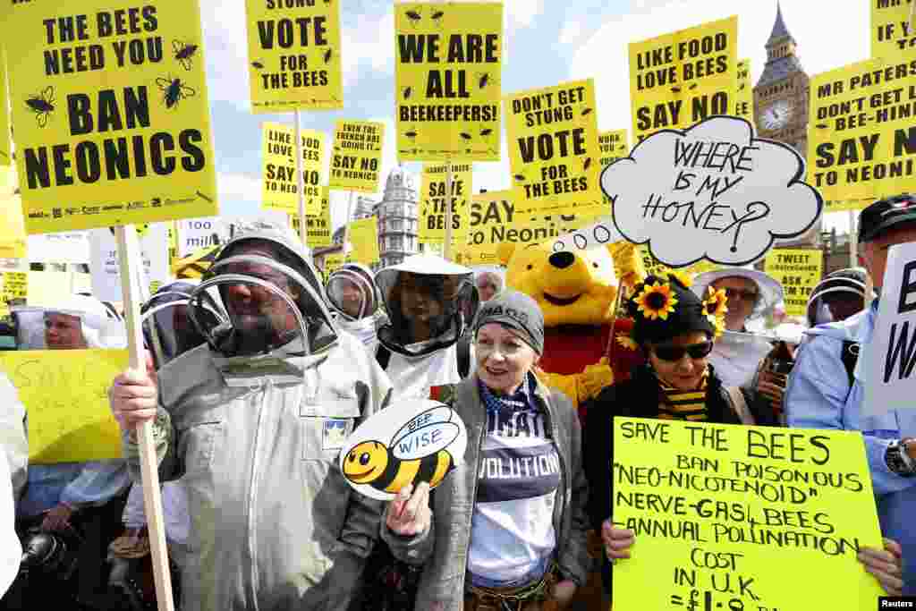 Perancang busana Vivienne Westwood (tengah) bergabung dengan para demonstran di London (26/4) yang menuntut pemerintah Inggris melarang penggunaan pestisida yang mengandung neonikotinoid yang dianggap membunuh lebah di seluruh dunia. (Reuters/Andrew Winning)