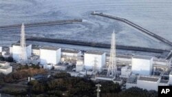 Fukushima Daiichi nuclear power plant (file photo)