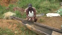Une association camerounaise forme des pêcheurs pour récolter une plante invasive