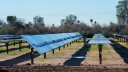 Quiz - US Community Colleges Offer Clean Energy Training