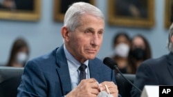 FILE - Dr. Anthony Fauci testifies, May 11, 2022, on Capitol Hill in Washington.