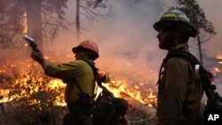 Fire crew members stand watch near a controlled burn operation as they fight the Rim Fire near Yosemite National Park in California, Sept. 2, 2013.