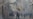 Ecuador's Protesters March; Clashes Break Out in Quito