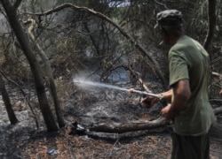 A firefighter sprays water in a forest devastated by a fire, in the northern Tunisia, on Aug. 11, 2021.