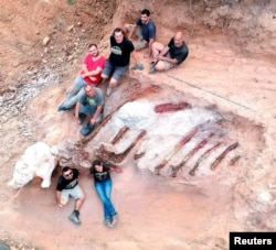 دانشمندان با دنده‌های عظیمی که از زیر خاک حفاری کرده‌اند عکس گرفته‌اند - اوت ۲۰۲۲