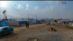 اخبار شامگاهی