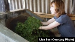 Author Lisa See is learning how to "kill the green" -- cooking just-picked tea leaves over an outdoor wok. See's latest novel is "The Tea Girl of Hummingbird Lane."