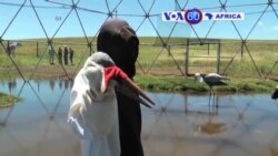 Manchetes Africanas, 16 de Abril de 2015