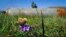 A butterfly sits on a flower near a fragment of a rocket after shelling by Azerbaijan's artillery in Stepanakert, in the separatist region of Nagorno-Karabakh.