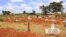 View of the temporary section of Nairobi's Langata Cemetery, October 4, 2012. (Jill Craig / VOA)