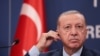 اردوغان از بازداشت عضو ارشد داعش در ترکیه خبر داد
