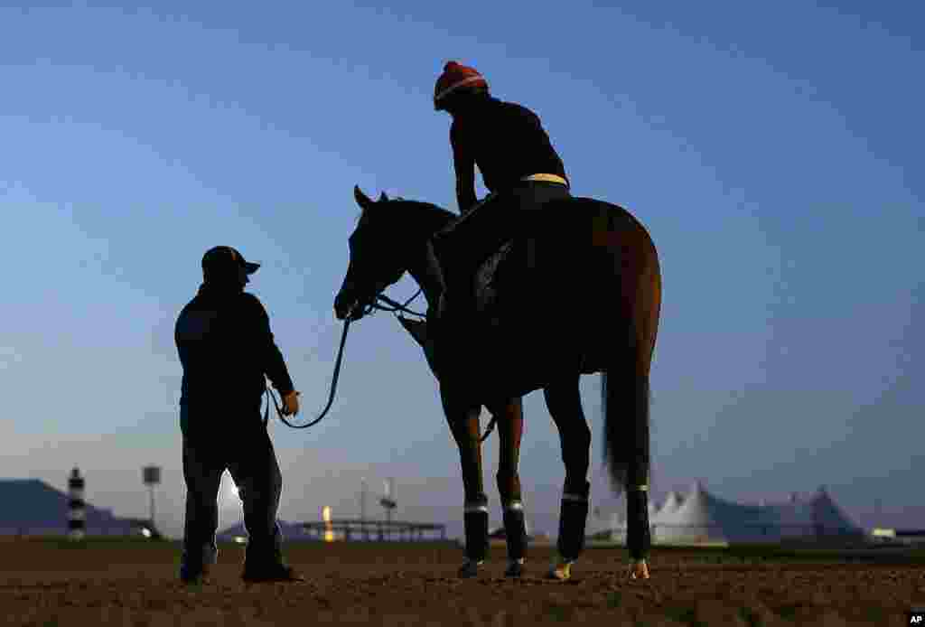 Assistant trainer Alan Sherman stands next to Kentucky Derby winner California Chrome before an early morning workout at Pimlico Race Course, Maryland, May 17, 2014.