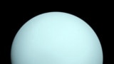 FILE - An image of the planet Uranus taken by the NASA spacecraft Voyager 2 in 1986. (NASA/JPL/Handout via REUTERS )