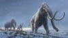 World’s Oldest DNA Discovered in Million-Year-Old Mammoths