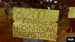 The farmers carried placards denouncing the people who allegedly swindled them large sums of money in the agricultural inputs scheme. (Photo By Thomas Chiripasi)