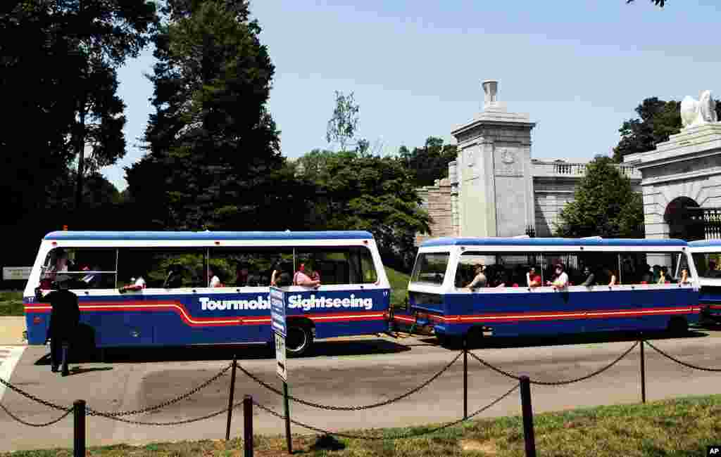 [메모리얼 데이] 이모저모