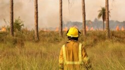 Argentina lucha contra un incendio intencional en la Patagonia que lleva 15 días con enormes daños