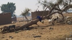 DANA AMBASSAGOU ka, laseli jamana fanga nyemogo ka, sanga fo taama, Bandiagara