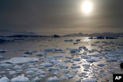 This undated image provided by British Antarctic Survey, shows the North Cove, in Antarctic. Michael Shortt/British Antarctic Survey via AP)