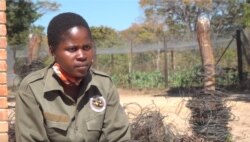 Belinda Ncube, an anti-poaching volunteer at Painted Dog Conservation in Hwange district of Zimbabwe, says wildlife, besides creating employment, helps the country to get tourists. (Columbus Mavhunga/VOA)