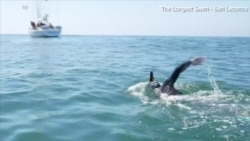 Swimmer Attempts 5.5K Swim Across Pacific to Study Plastic Pollution
