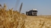 Вантажівки, завантажені зерном ячменю, у полі під час збирання врожаю в Одеській області, Україна, 23 червня 2023 року. REUTERS/Ніна Ляшонок