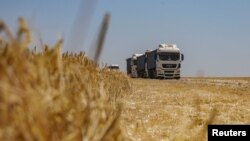 FILE: Trucks loaded with barley grain are seen in a field during harvesting, amid Russia's attack on Ukraine, in Odessa region, Ukraine June 23, 2023. Russia announced on July 4, 2023 that it is not interested in extending the Black Sea Grain Initiative, crucial to Africa. 