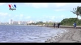 Diplomats Pick Up Trash at a Miami Beach