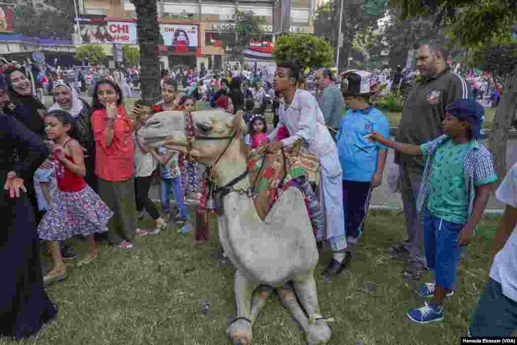 Parents queue with their children for a camel ride after Eid prayers in Cairo, June 15, 2018.