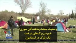 وضعیت سخت پناهندگان سوری؛ خوردن برگ‌های درخت یک پارک در استانبول