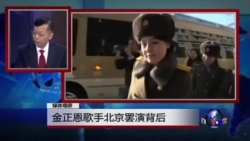 媒体观察：金正恩歌手北京罢演背后