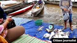 Nam Sahong fishing