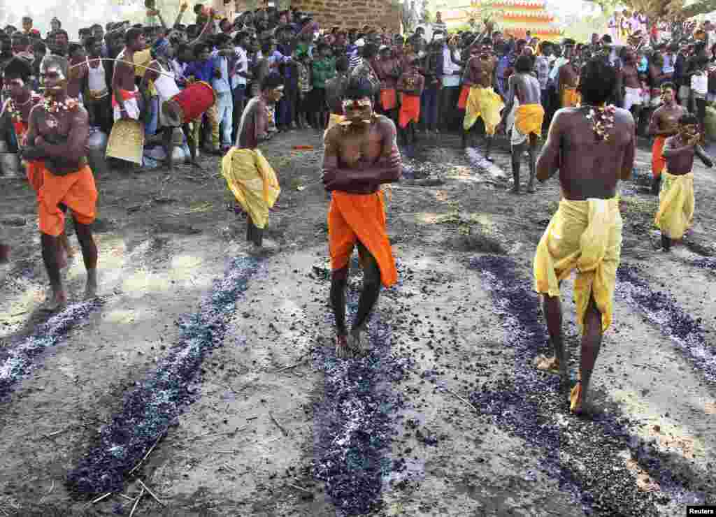 Beberapa pria Hindu berjalan di atas arang yang masih membara pada festival keagamaan Danda di desa Mandhasal, distrik Khurda, negara bagian Odisha, India timur.