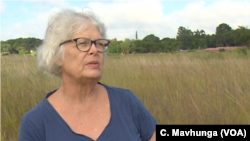 Dorothy Wakeling of the conservation group Harare Wetlands Trust says people are disturbing wetlands which are supposed to be gradually releasing water into the city’s water bodies.