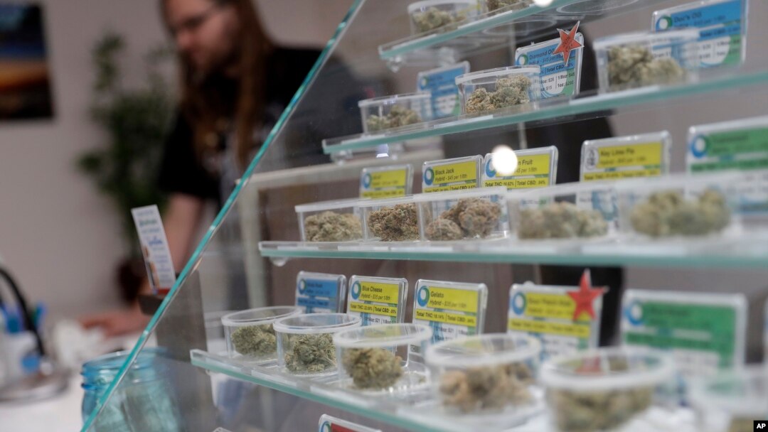 Berbagai jenis ganja dipajang di rumah obat KindPeople di Santa Cruz, California, 29 Desember 2017. California mulai 1 Januari 2018 melegalkan penjualan ganja untuk kepentingan non-medis.