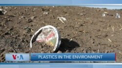 Plastics in the Environment