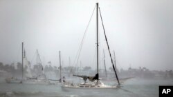 Kapal dekat Watson Island dilewati Badai Hurricane Irma, 10 September 2017, di Miami Beach, Florida. 