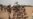 US Troops’ Cameroon Deployment Is Welcomed