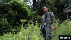 Un policía antinarcóticos monta guardia durante una operación de erradicación en una plantación de hojas de coca en Tumaco, Colombia, el 26 de febrero de 2020.