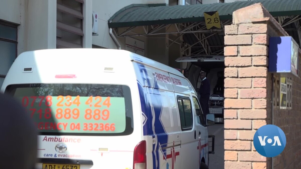 'Poisoned' Activist Zimbabwe Doctor Leaves Country for Medical Treatment