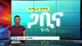 ጋቢና ቪኦኤ