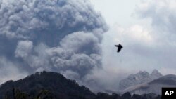 Gunung Kelud, saat erupsi, terlihat dari desa Anyar, Blitar, 14 Februari 2014 (Foto: dok).