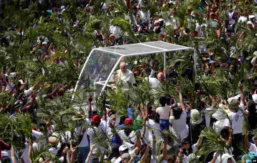 Faithful wave palm leaves as Pope Francis arrives to celebrate Mass at the Monument Mary Queen of Peace in Port Louis, Mauritius.