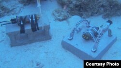 The acoustic recorders collect all sounds of the reef from fish and invertebrates, to wind, rain and boats. (Credit: T. Aran Mooney, Woods Hole Oceanographic Institution)
