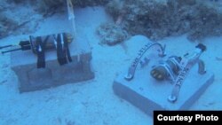 The acoustic recorders collect all sounds of the reef from fish and invertebrates, to wind, rain and boats. (Credit: T. Aran Mooney, Woods Hole Oceanographic Institution)