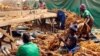 FILE - Workers grade cured tobacco at a community farm outside Harare, Zimbabwe, March 14, 2017. 