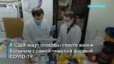 Марихуана поможет в лечении COVID-19?