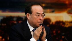 VOA连线(叶兵)：前网络沙皇鲁炜被双开 孙政才被起诉至天津法院